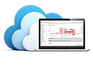 Web-basierte Datenauswertung - TrueView Web Report®